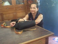 /album/galeria-de-fotos-colaboradores/pict0245-jpg/