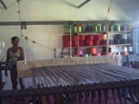 /album/galeria-de-fotos-colaboradores/pict0269-jpg/