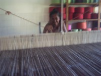 /album/galeria-de-fotos-colaboradores/pict0270-jpg/