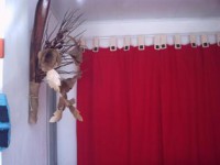 /album/galeria-de-fotos-tecelagem/cortverm-jpg/